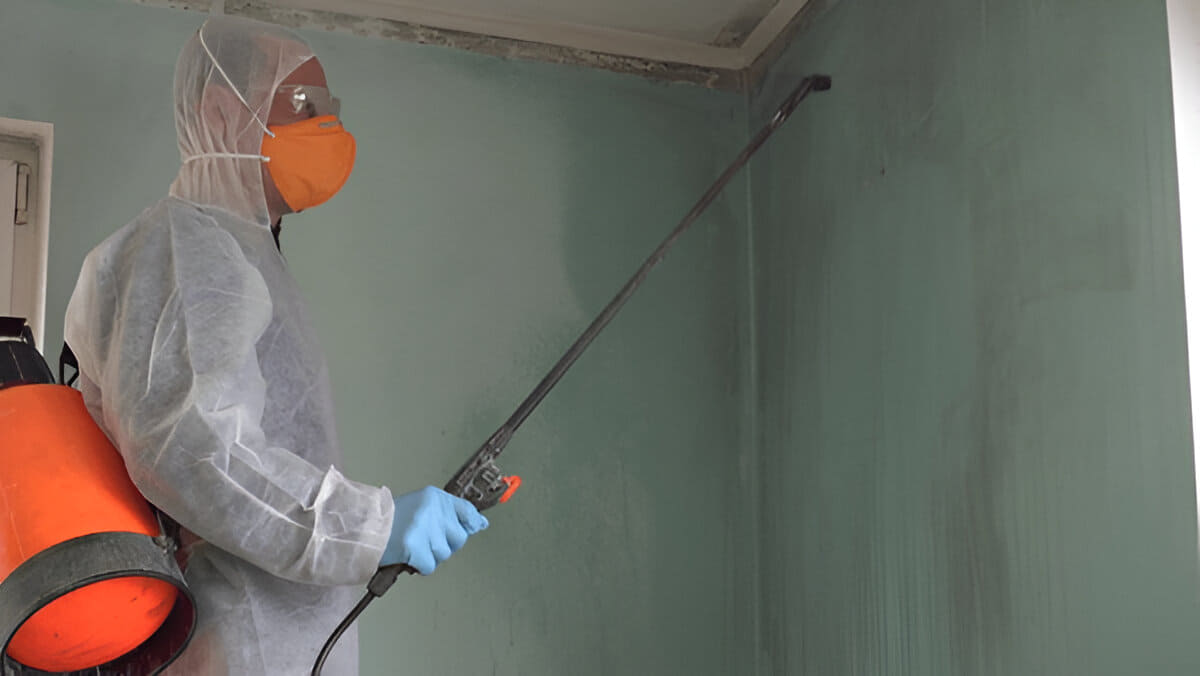 Pest Inspections Melbourne
