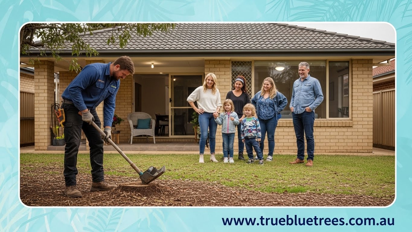 Stump removal Stump removal