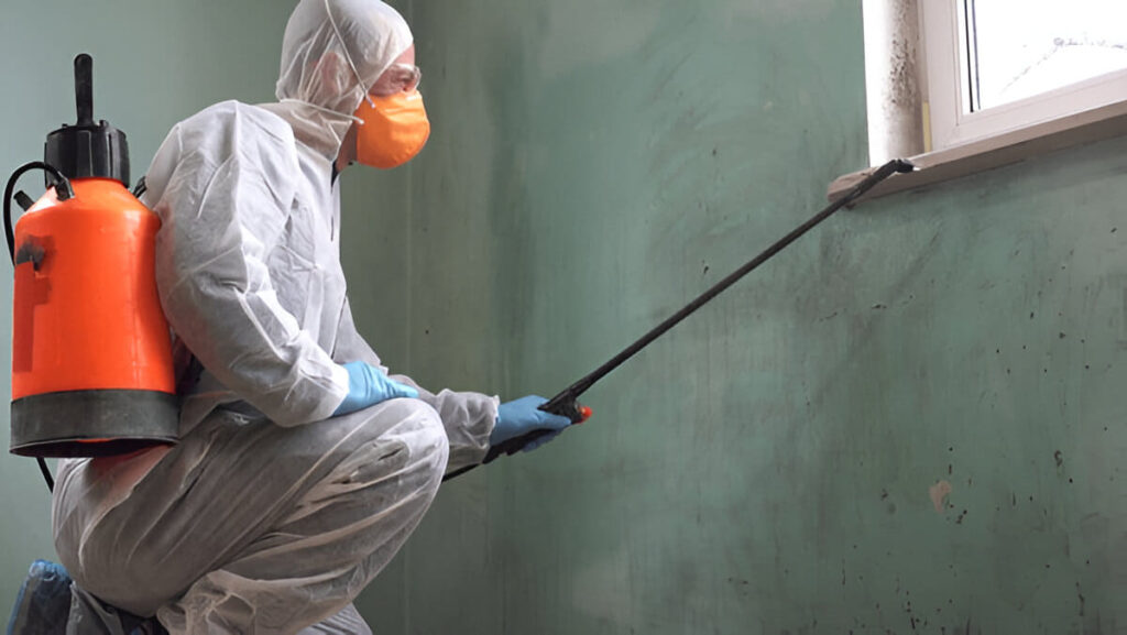 Pest Inspections Melbourne