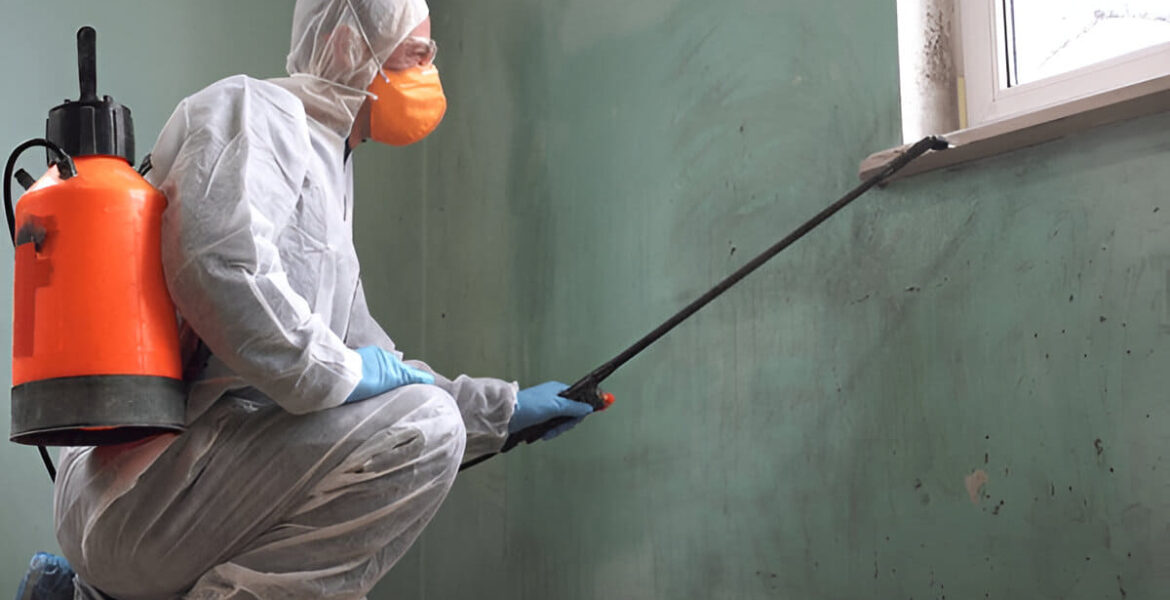 Pest Inspections Melbourne