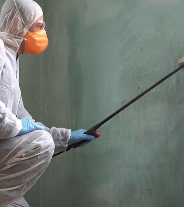 Pest Inspections Melbourne