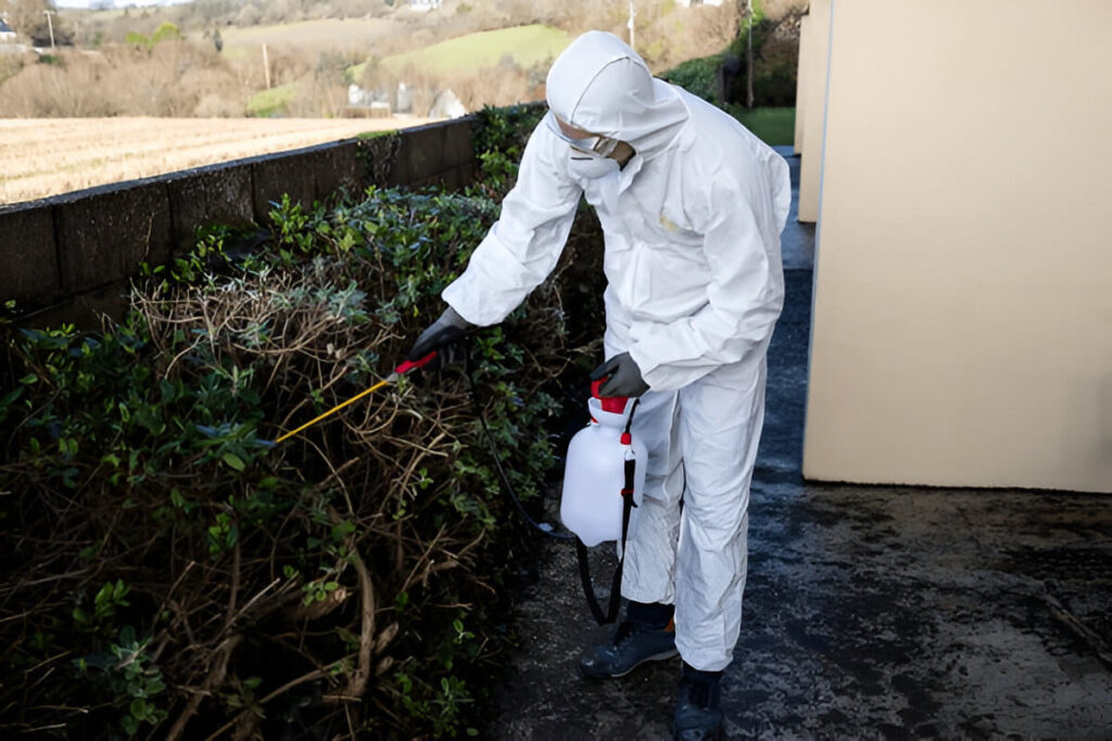 Termite control