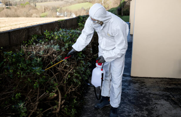 Safeguarding Australian Homes: Pest Control Gold Coast and Effective Termite Management in Melbourne, Adelaide, and Brisbane