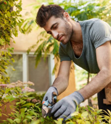 Lawn Mowing Seaford