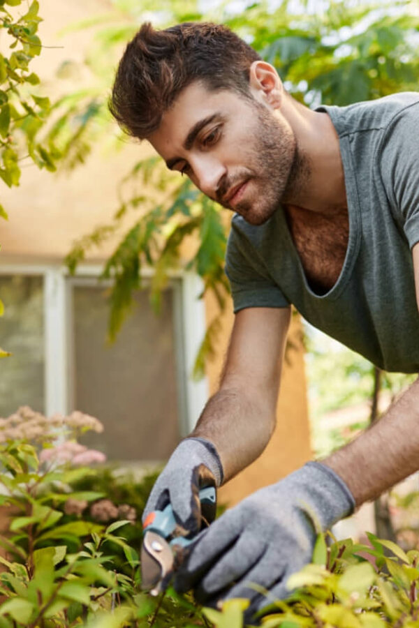 Lawn Mowing Seaford