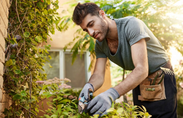 Master the Art of Lawn Mowing: An All-inclusive Guide