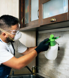 Pest Control