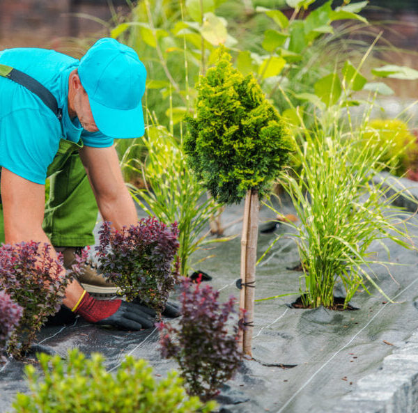 Landscapers Vermont Landscapers Vermont