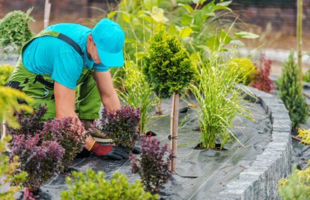 Sustainable Practices used by Landscapers in Vermont