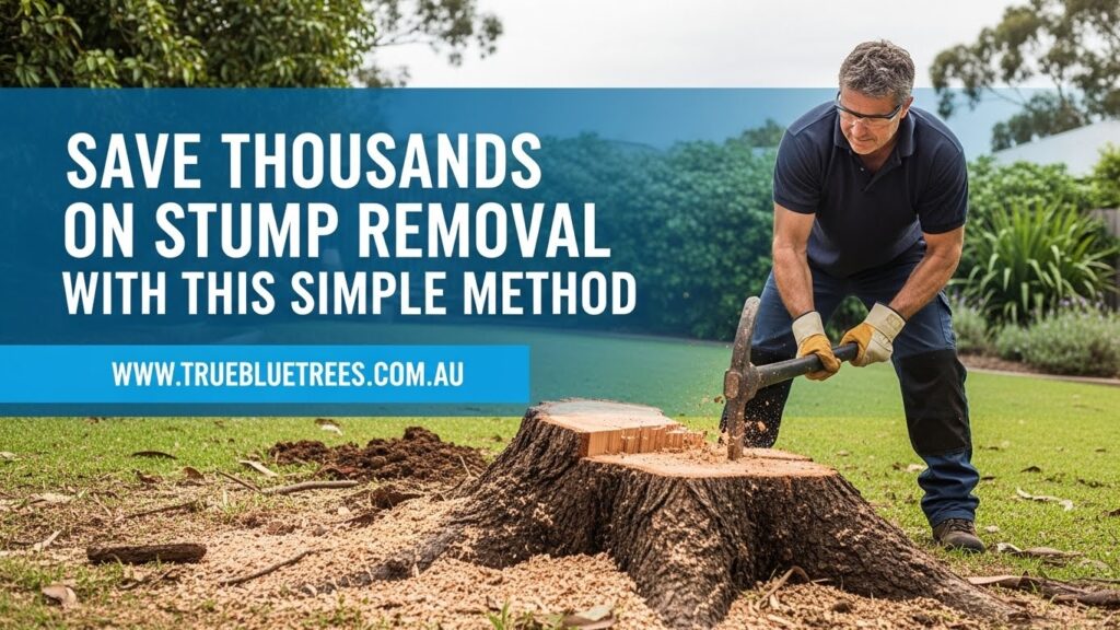 Stump removal