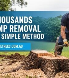 Stump removal Stump removal