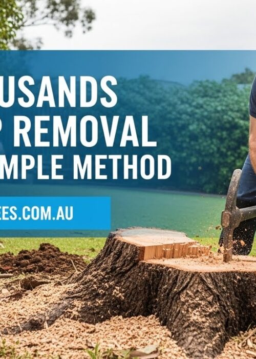 Stump removal