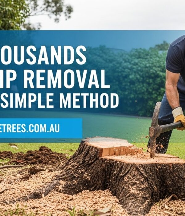 Stump removal Stump removal
