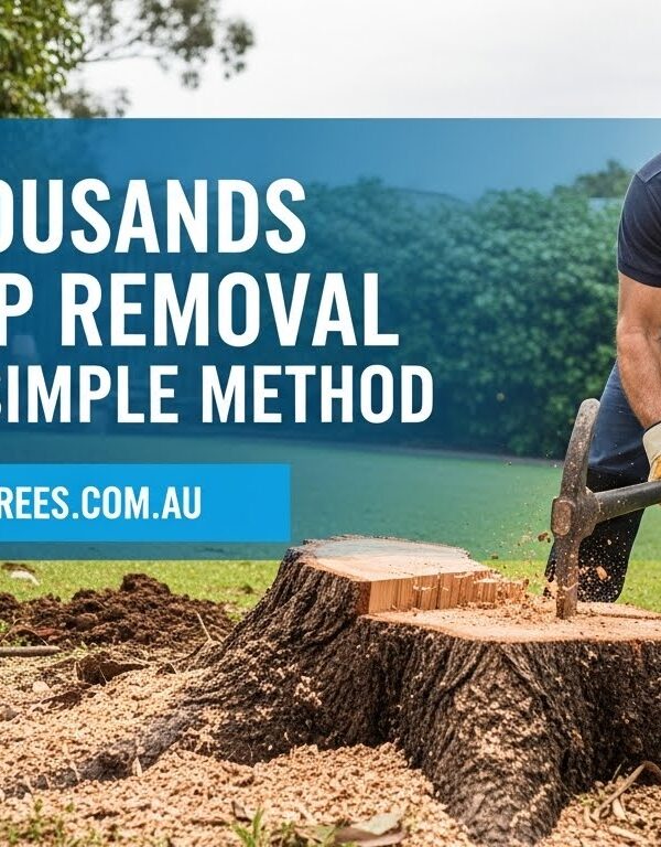 Stump removal Stump removal