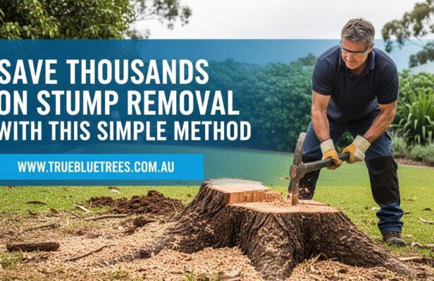 Save Thousands on Stump Removal With This Simple Method