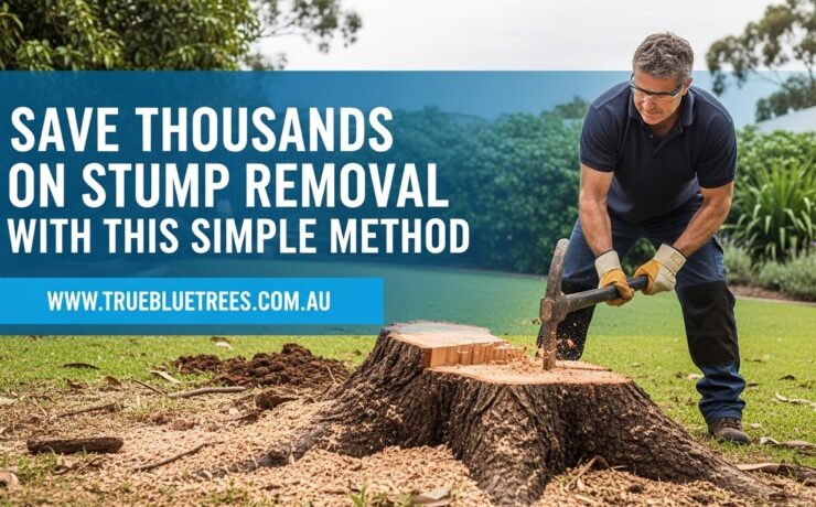 Stump removal