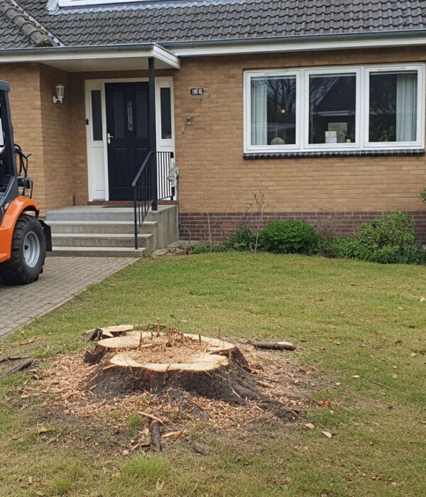 Stump removal Stump removal