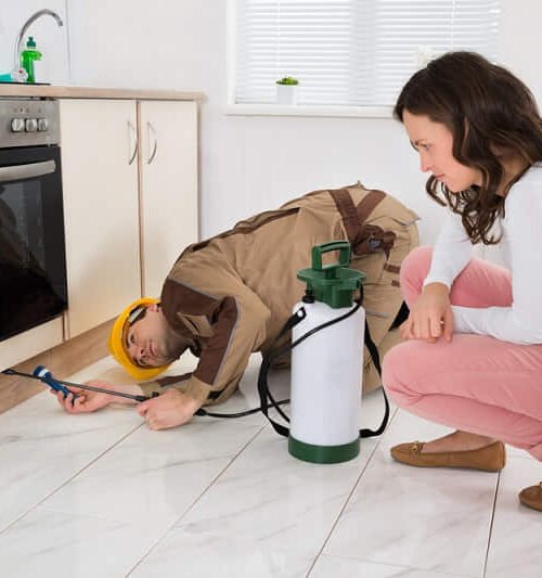 Pest Control Forestville