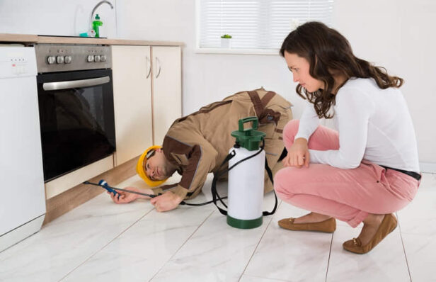 Choosing the Right Pest Control Service for Your Needs