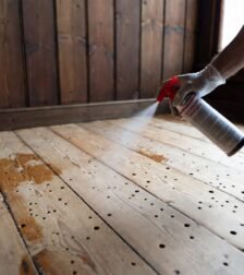 Woodworm Treatment Spray