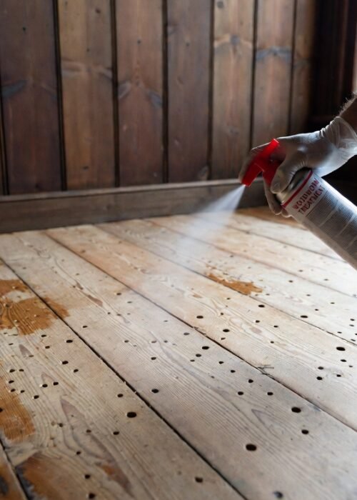 Woodworm Treatment Spray