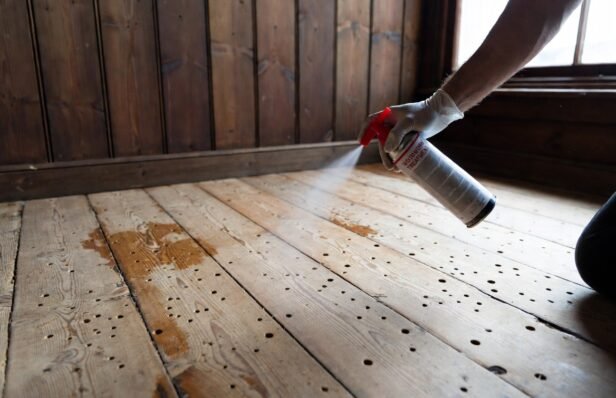 Expert Woodworm Treatment Spray 2026: Eradicate Infestations & Save Your UK Timber Floors Now!