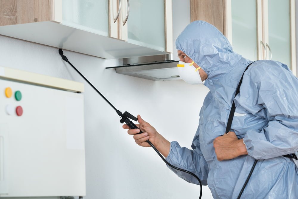 Pest Control Pest Control